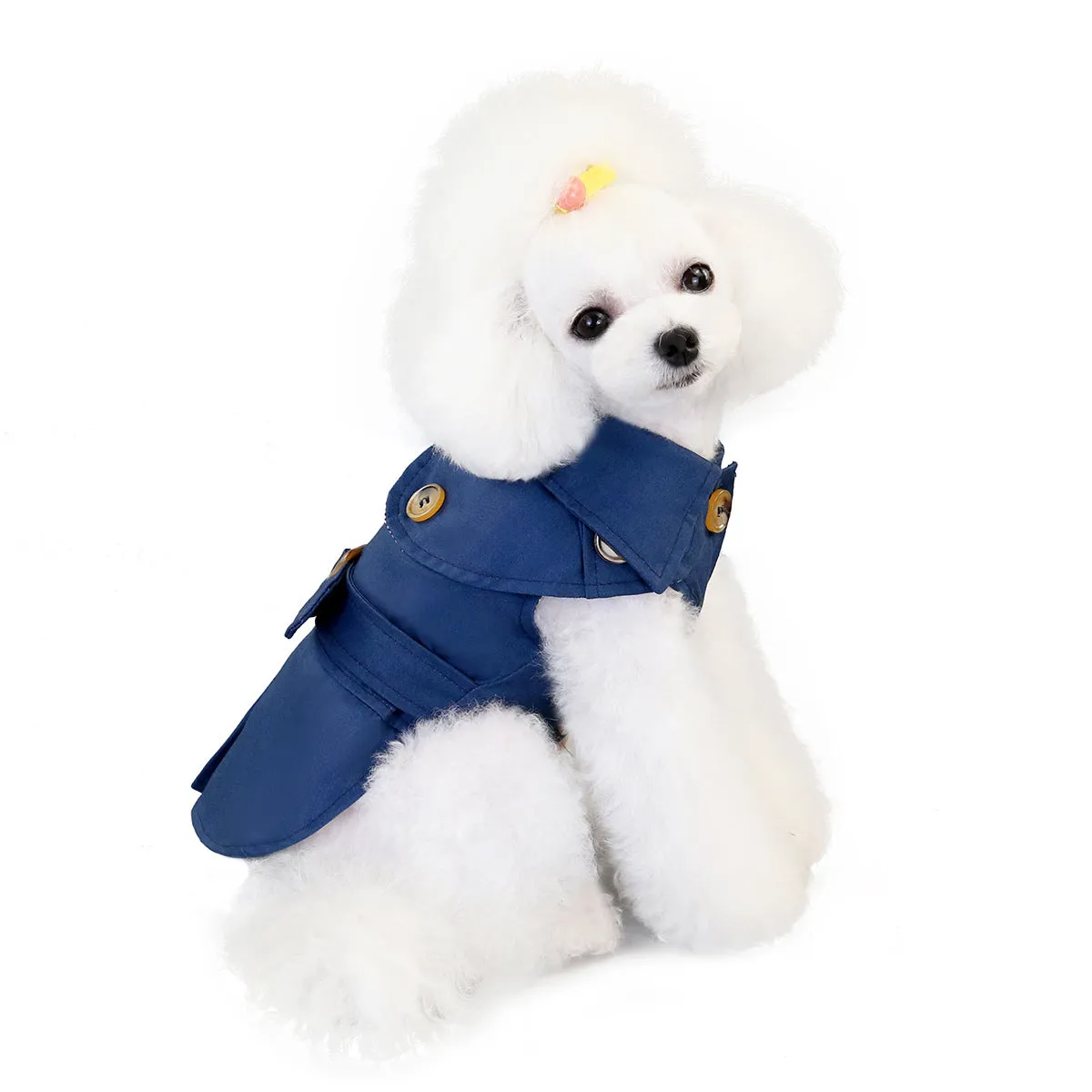 Autumn three-color windbreaker small dog pet clothing