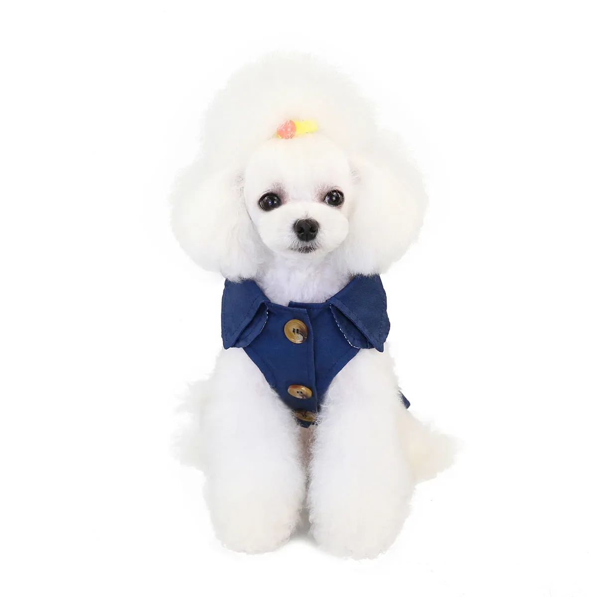 Autumn three-color windbreaker small dog pet clothing