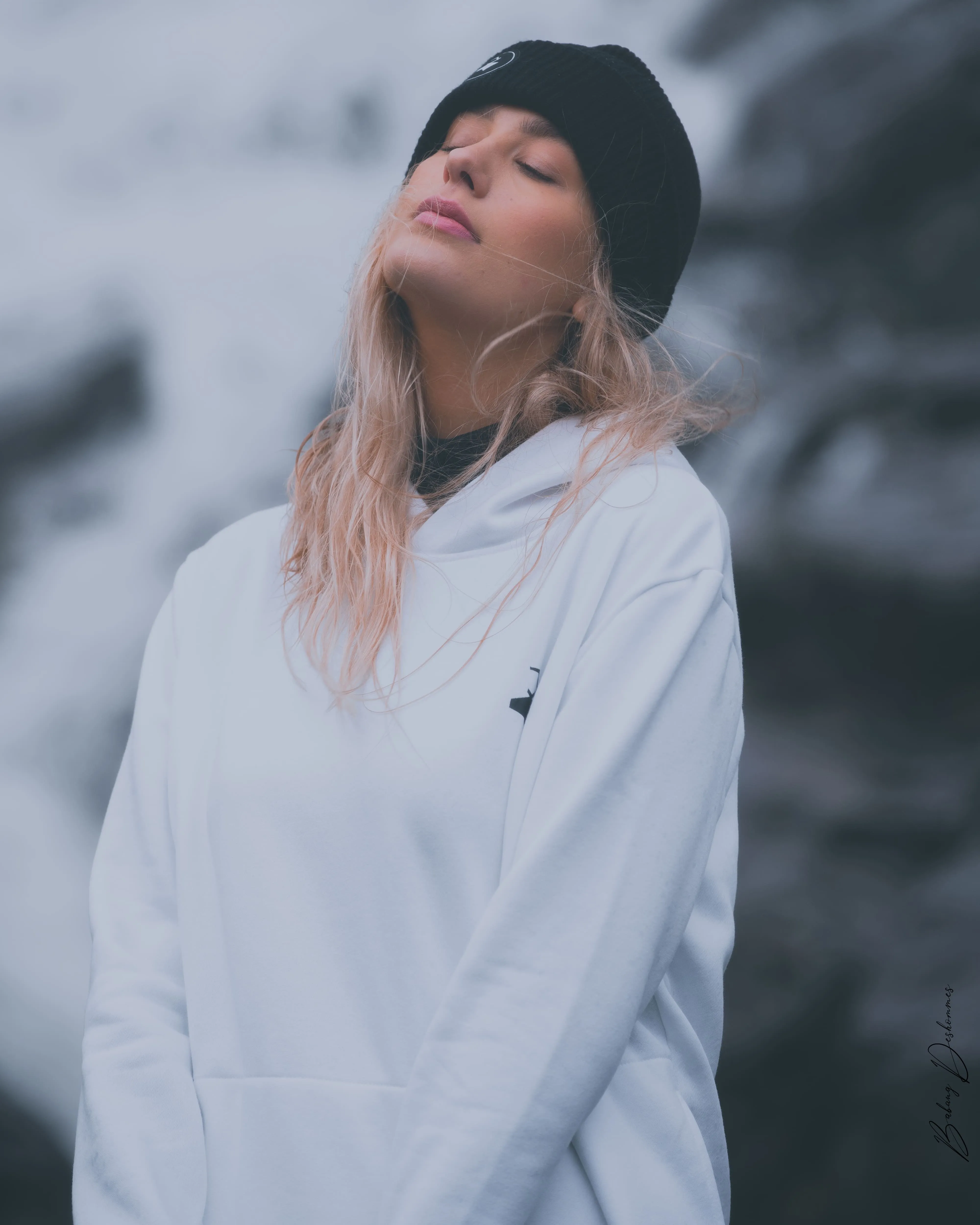 ICON HOODIE WHITE