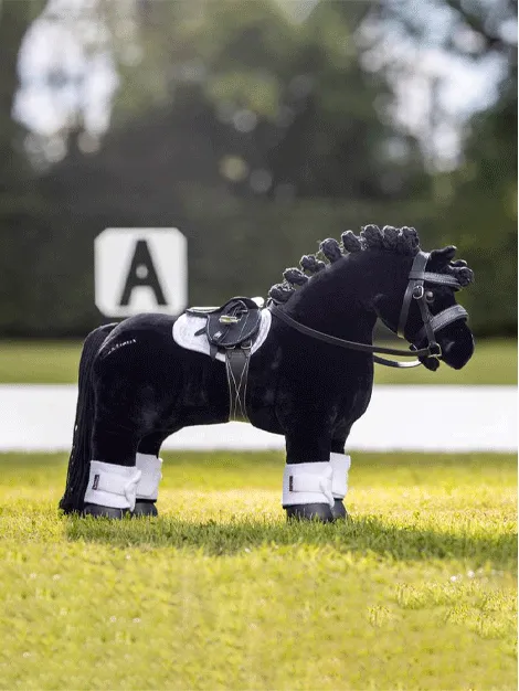 Le Mieux Toy Pony