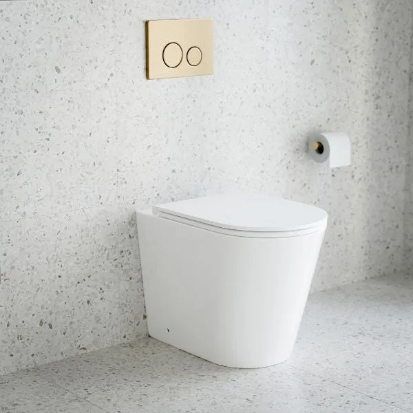 Nero In Wall Toilet Push Plate Brushed Gold