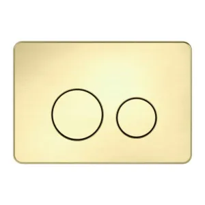 Nero In Wall Toilet Push Plate Brushed Gold